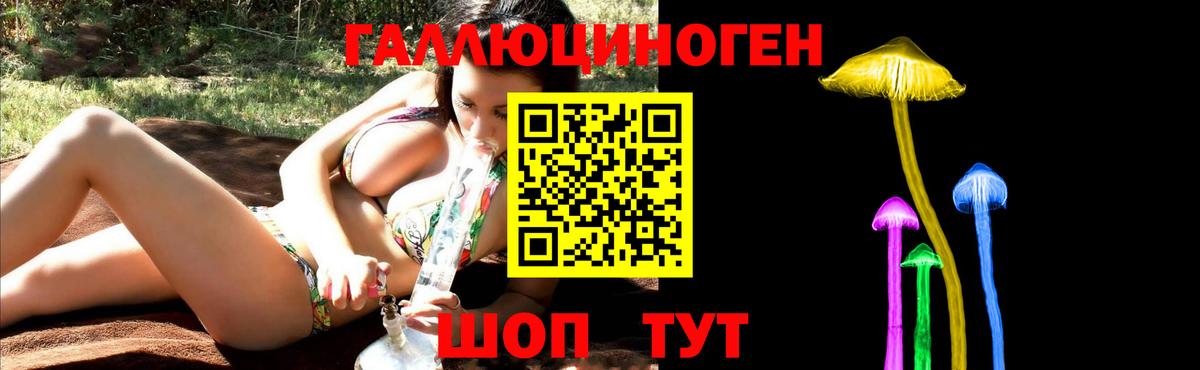 Псилоцибиновые грибы Psilocybine cubensis  Вход с VPN  Унеча 